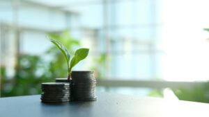Monedas apiladas con una planta creciendo que ilustra la decisión de ahorrar o invertir el dinero