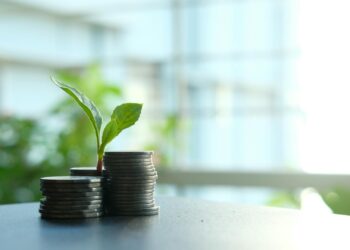 Monedas apiladas con una planta creciendo que ilustra la decisión de ahorrar o invertir el dinero